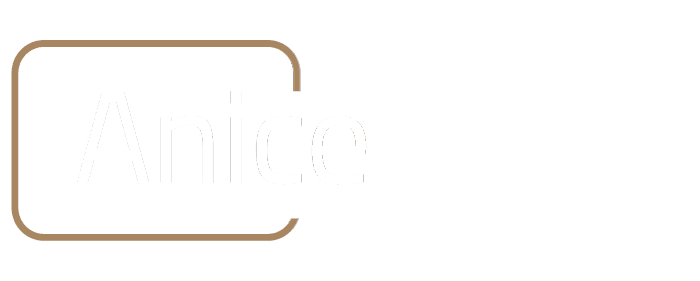 Logo Anice